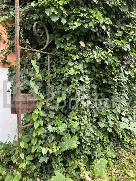 Einzigartiges Immobilienjuwel in bester Salzburger Lage – Jugendstilvilla & moderner Neubau in Kombination