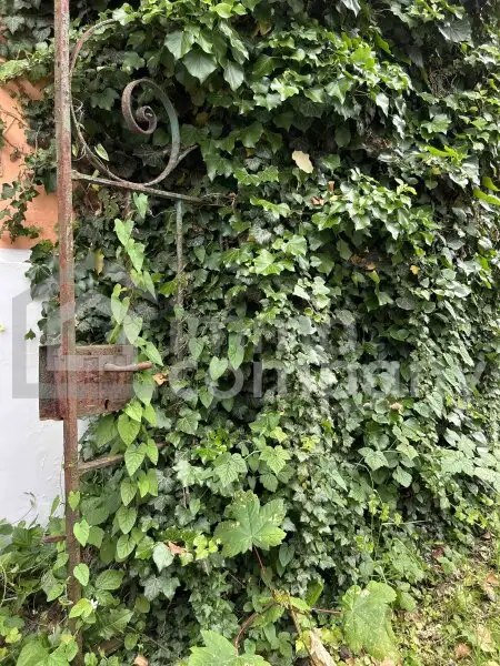 Einzigartiges Immobilienjuwel in bester Salzburger Lage – Jugendstilvilla & moderner Neubau in Kombination