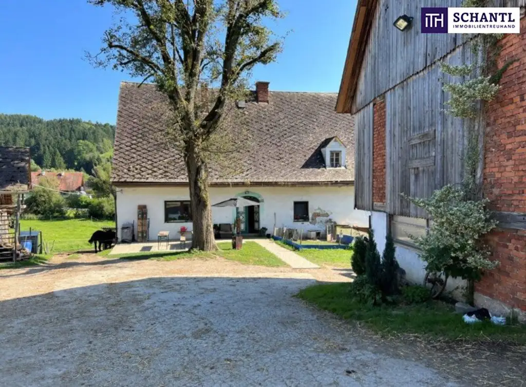 PFERDERANCH IN DER GRÜNEN STEIERMARK! Idyllischer Reiterhof in der Steiermark – Natur, Ruhe & Freiheit genießen! GLEICH ANFRAGEN UND BESICHTIGUNGSTERMIN VEREINBAREN!
