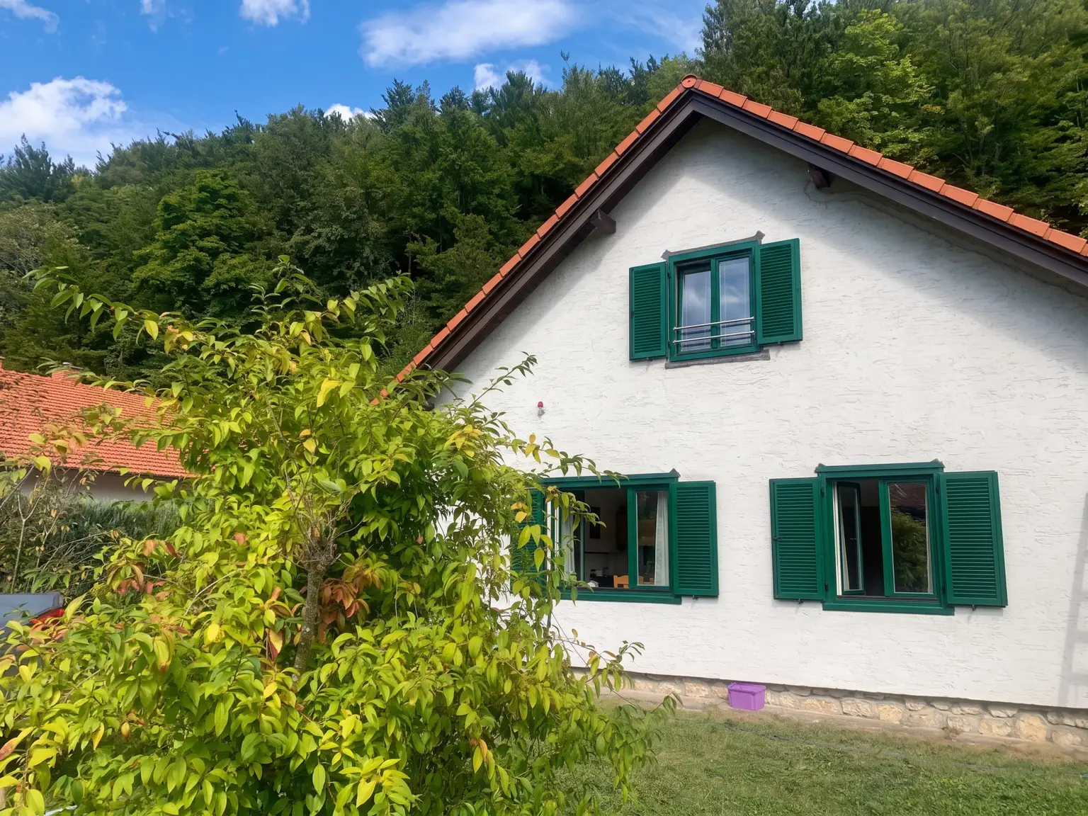 Top Lage in Reichenau an der Rax