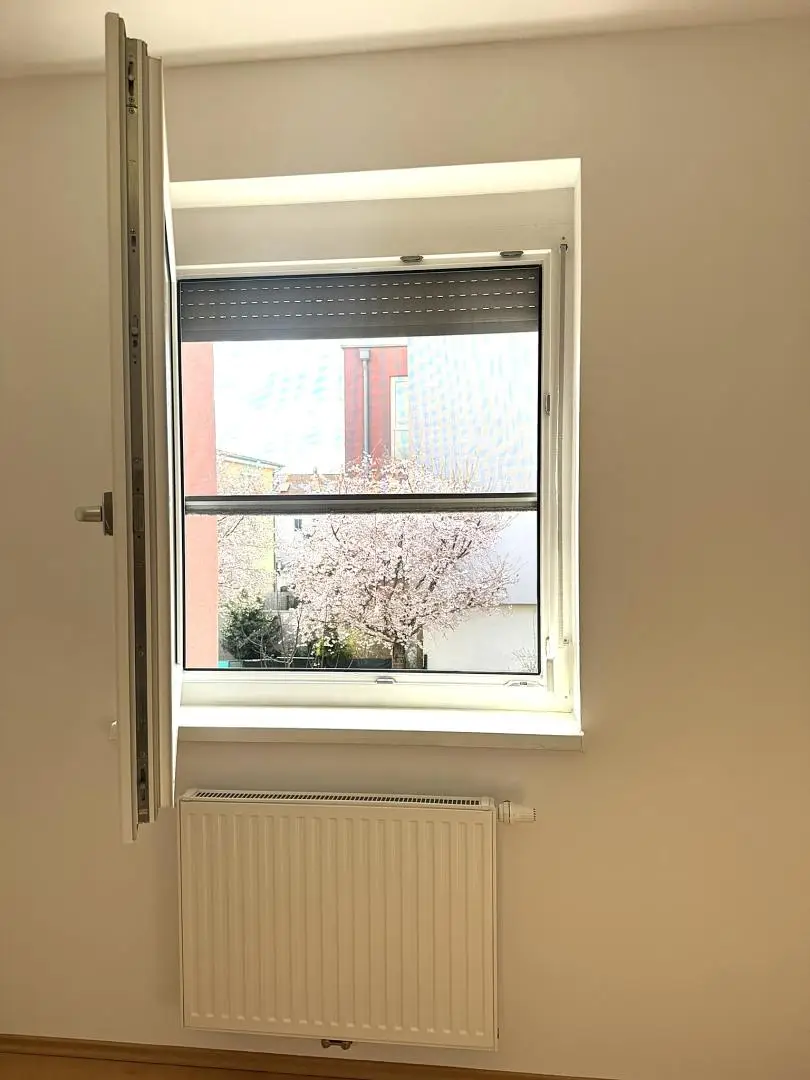 Sonnenschutz,Insektenschutz