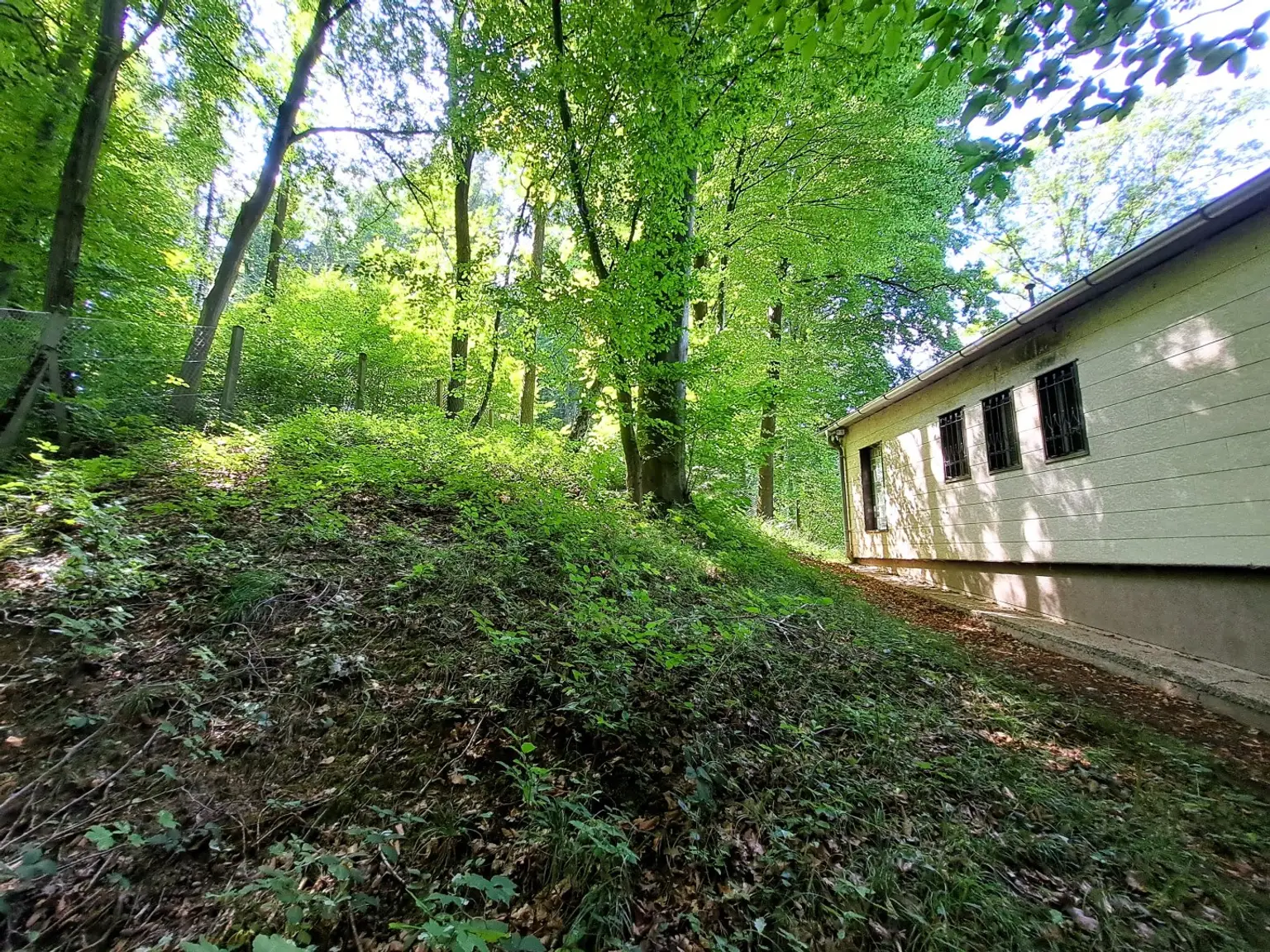 Einfamilienhaus mit Wohnrecht und 1875 m² Grund - idyllische Waldrandlage in Steyr/Fischhub