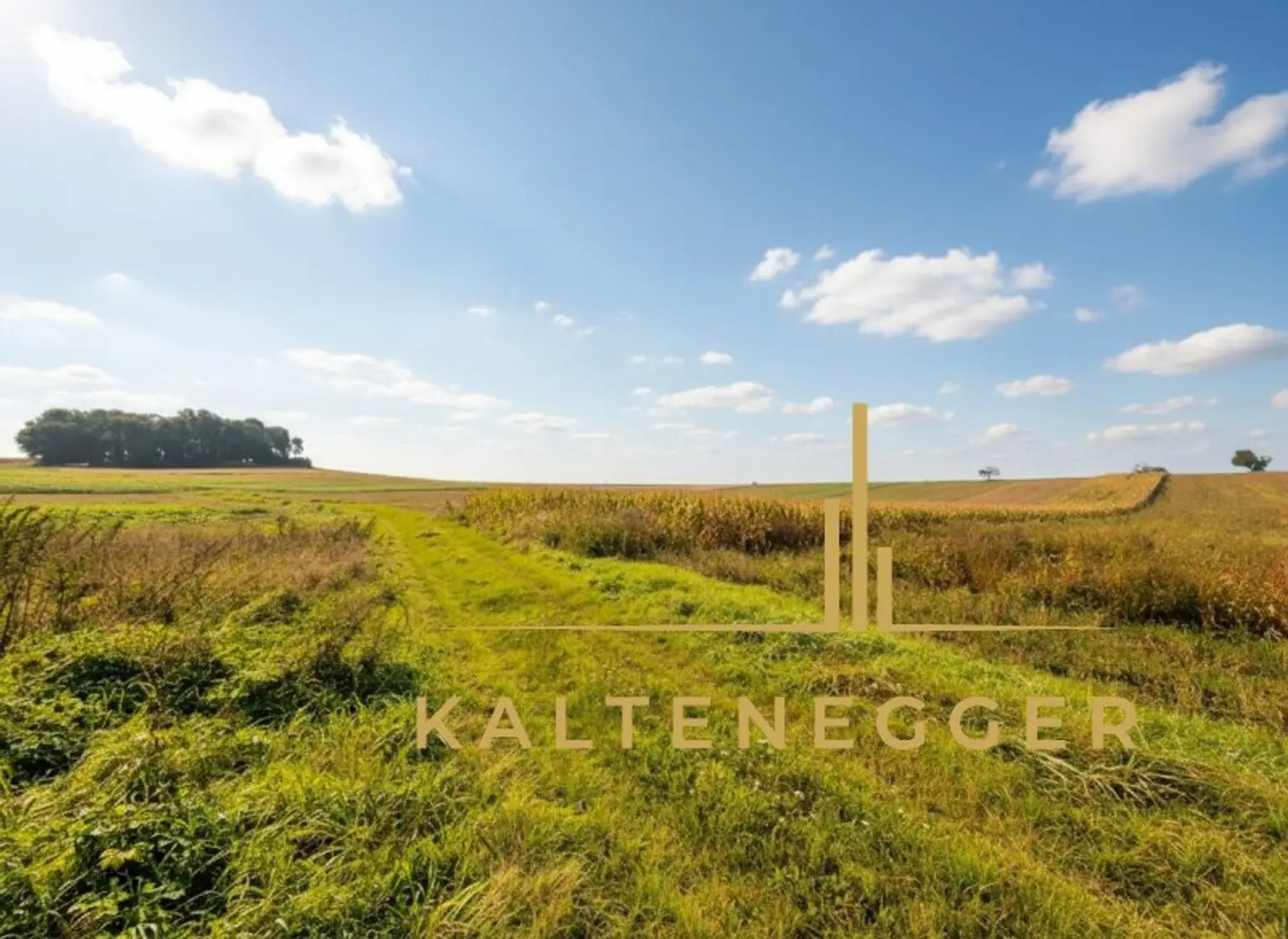 Einzigartiges Grundstück mit wunderschöner Naturverbundenheit in Pöttsching