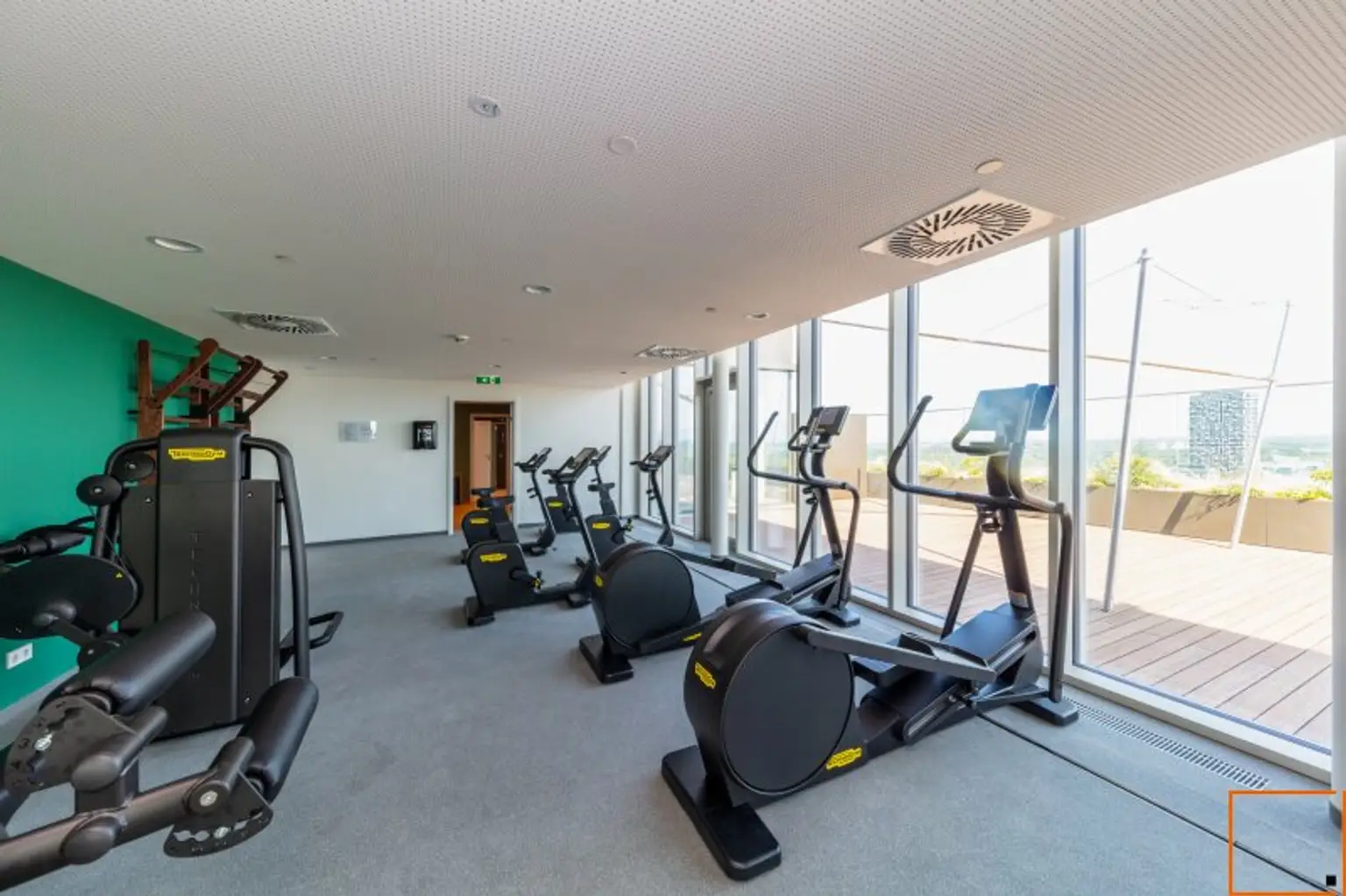 Grünblick_Technogym-Fitness-Studio