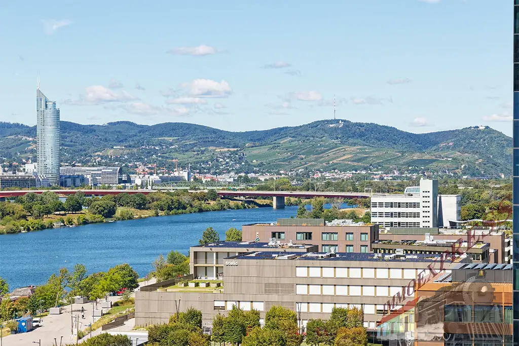 POOL | SONNENDECK | GYM | WELLNESS = 1-Zimmer-Wohnung + BALKON = ERSTBEZUG = DANUBEFLATS
