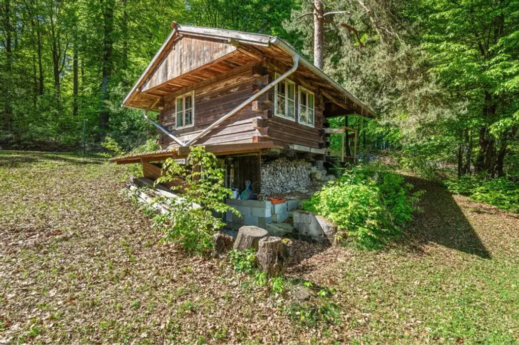 Wunderschöne Villa mit Pool und weitläufigem Grundstück, Nähe Pressbaum
