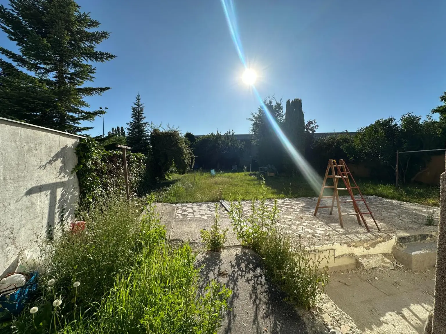 Blick Richtung Garten von der Seite