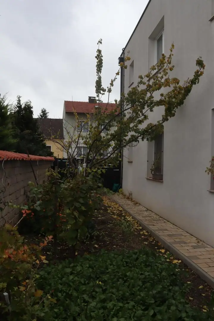 "Ein- oder Zweifamilienhaus!"