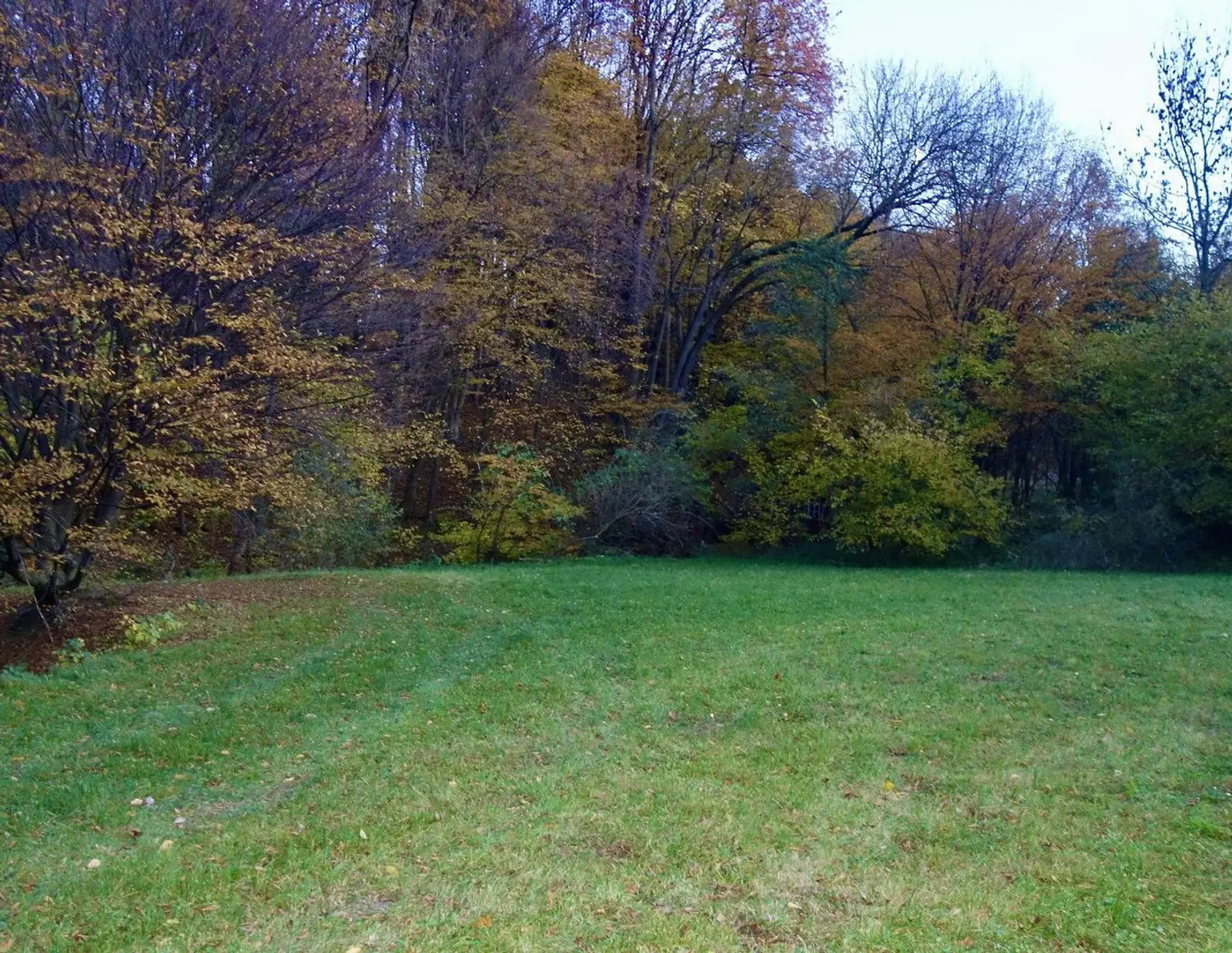 TRAUMHAFTES GRUNDSTÜCK MIT TEICH AM STEINRIEGL