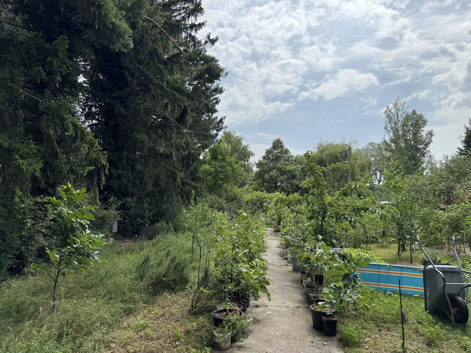 Exklusives Grundstück in Traumlage am Mühlwasser