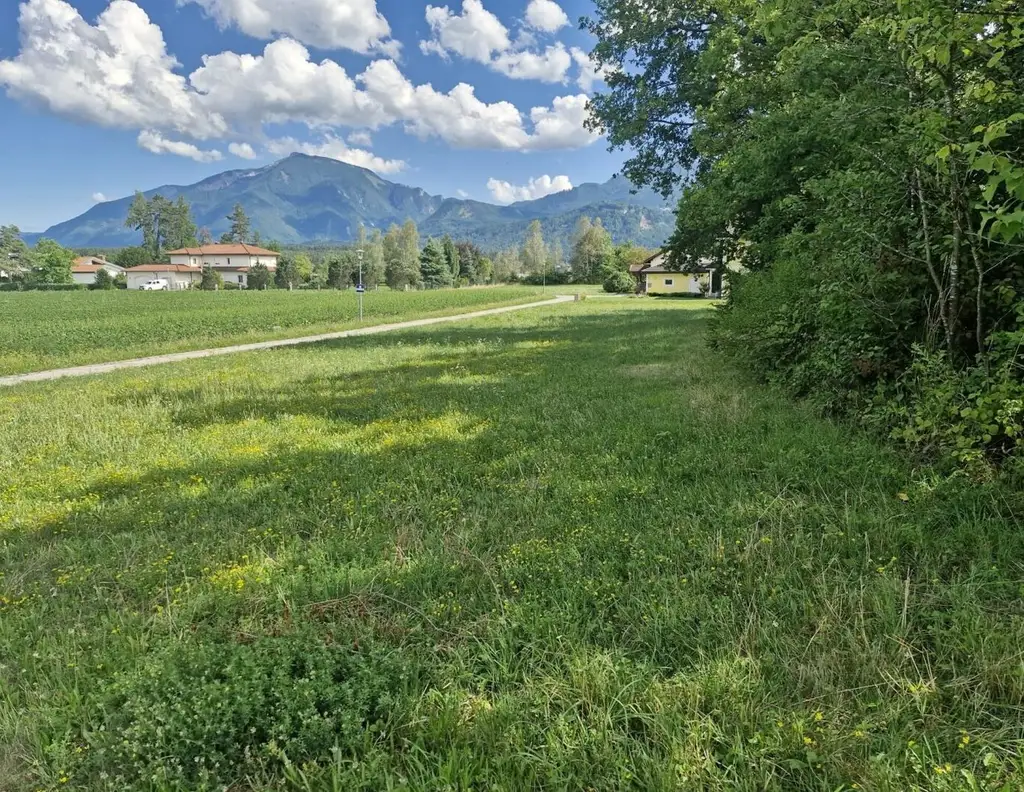 Traumhaftes Baugrundstück mit 3150 m² im Unterkärntner Seengebiet, Bergblick!