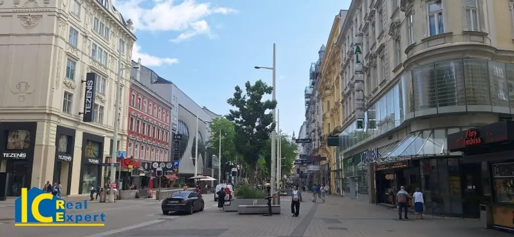 Großzügige Stadtwohnung im Biedermeierhaus, –schön, gepflegt und mit Garage!