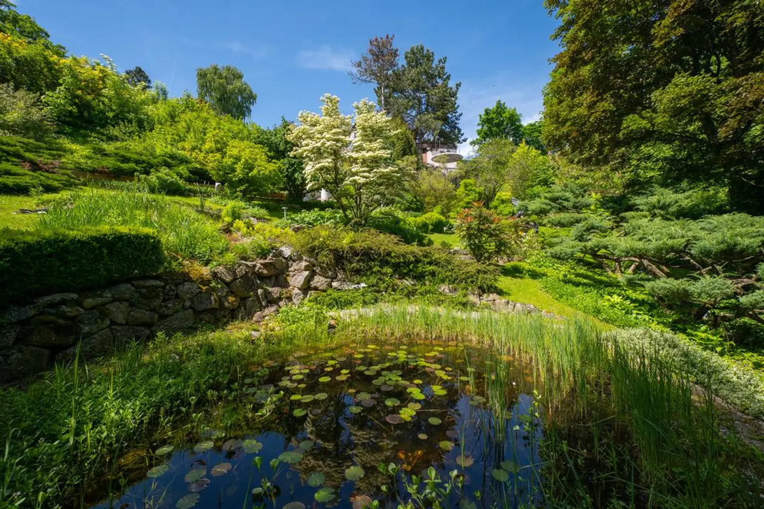 Uneinsehbares Wohnjuwel mit 7.984 m² Grundstück – einzigartiges Naturparadies mit herrlichem Panoramablick am Heuberg in Dietach!