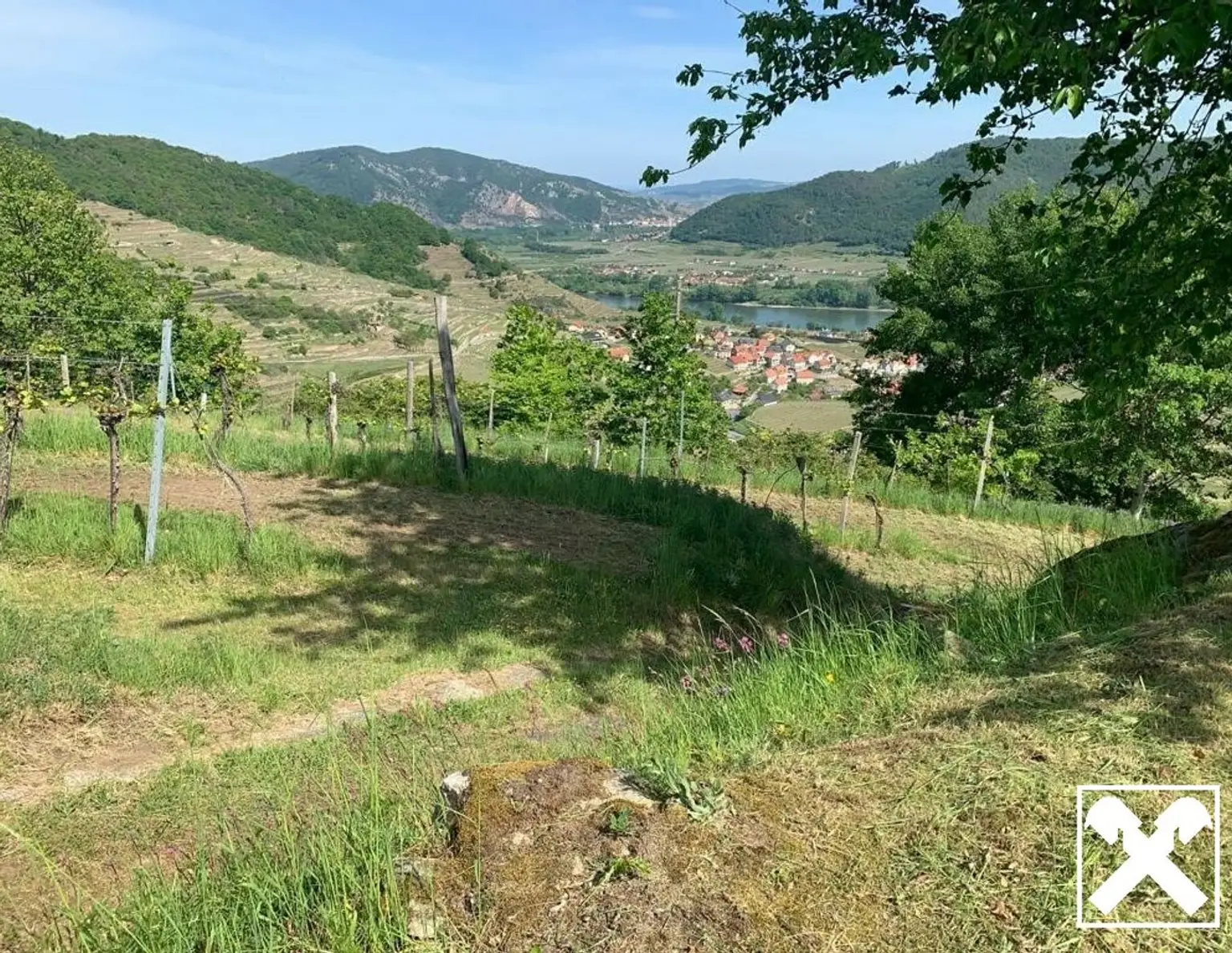 WEINGARTEN IN AUSSICHTSLAGE - WEINGARTEN, LANDWIRTSCHAFTLICHE FLÄCHEN - KEIN BAUGRUNDSTÜCK!