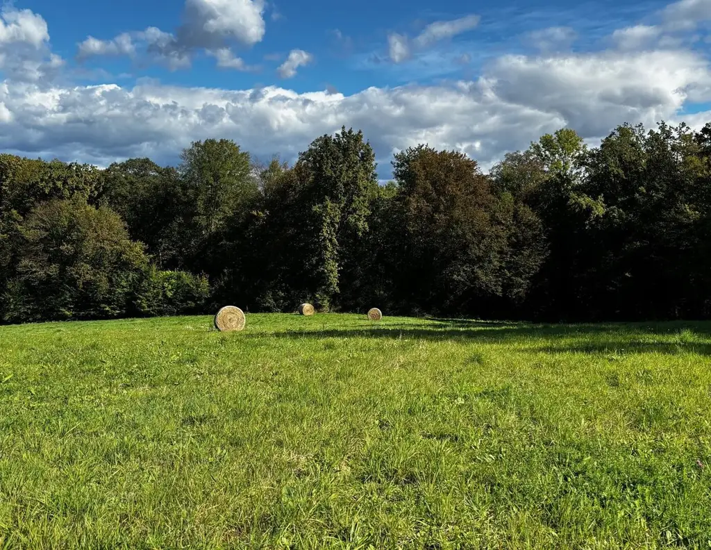 Baugrund G08 in ruhiger Aussichtslage, weitere Grundstücksgrößen verfügbar