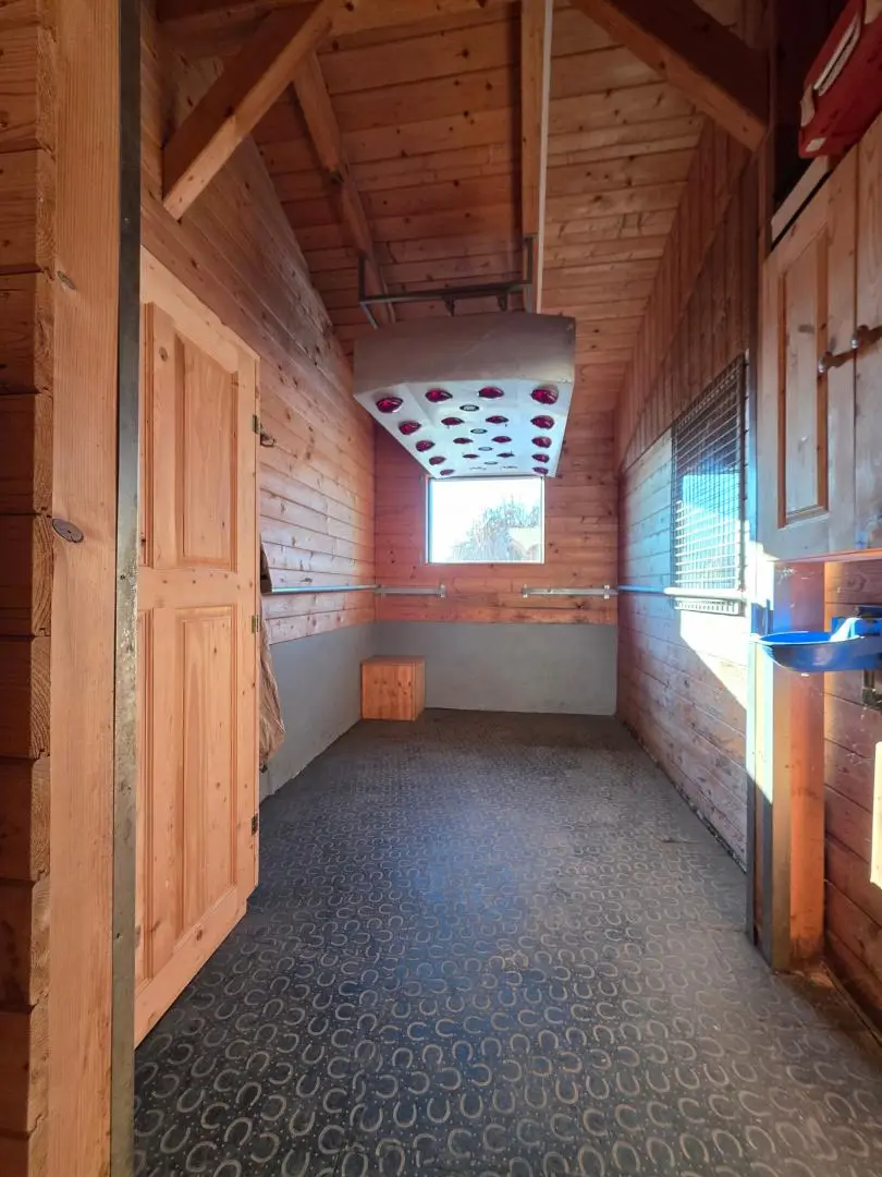 Pferdesolarium Infrarot