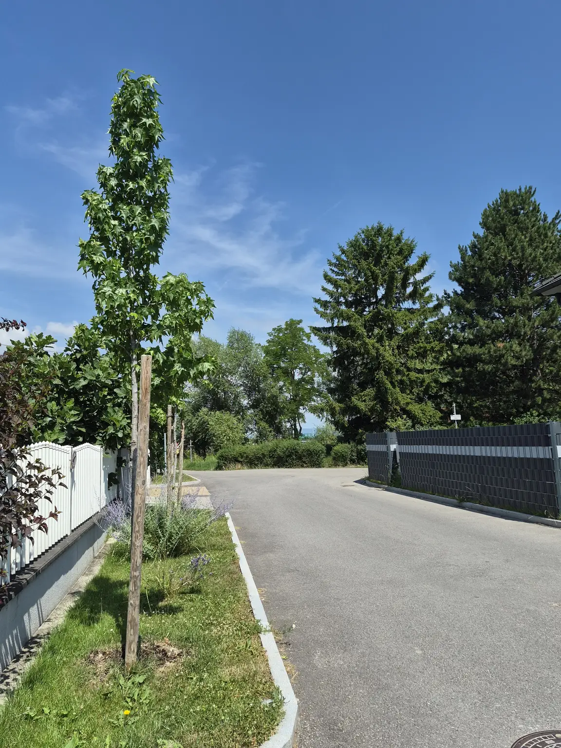 Neubau - Tolle Doppelhaushälfte belagsfertig - Neufelder See schnell erreichbar!