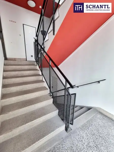 Schnell sein! Attraktive Neubauwohnung im Zentrum! Angenehme Ruhelage + Ideale Raumaufteilung + Perfekte Infrastruktur und Anbindung!