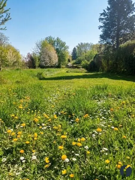 Wiese vor dem Grundstück