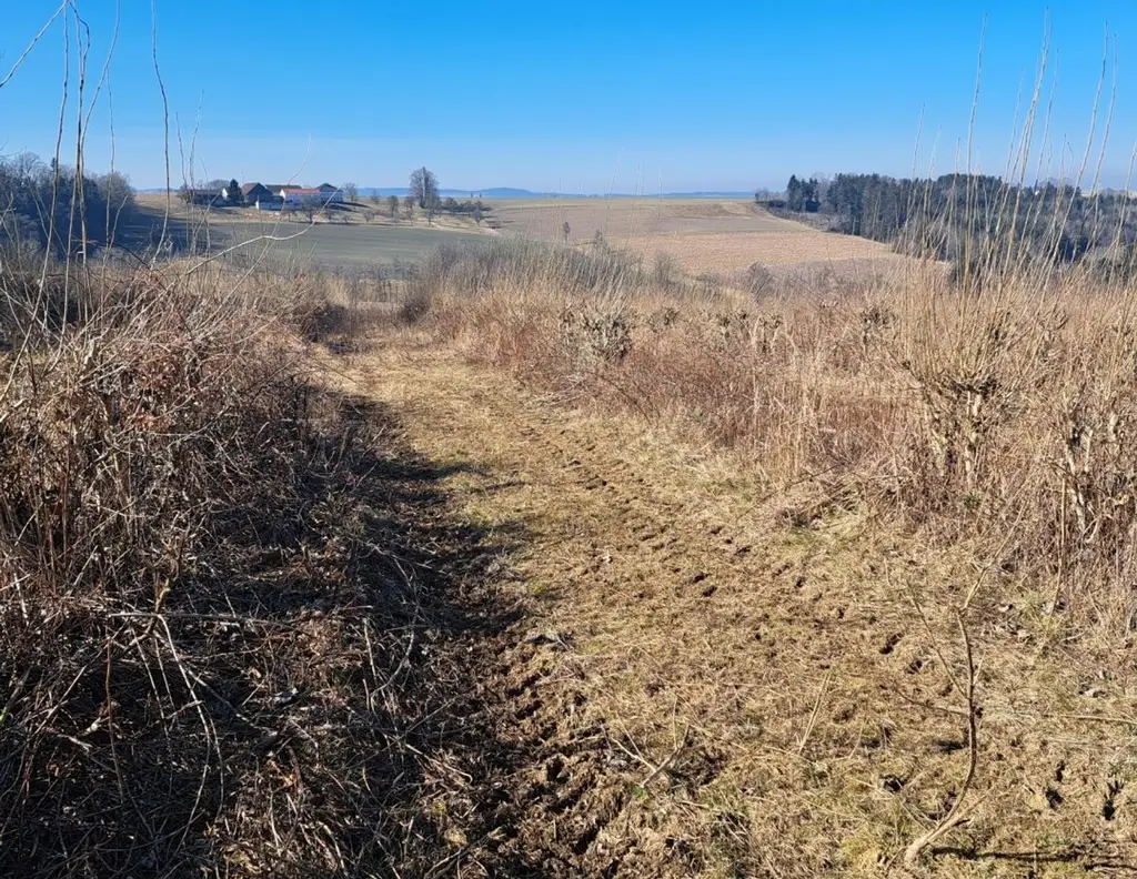 Exklusives Weinbaugrundstück, Südhang in sonniger Lage!