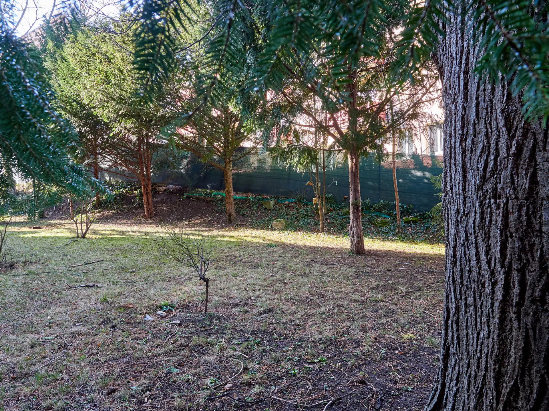 41_Ghelengasse 30 Neu