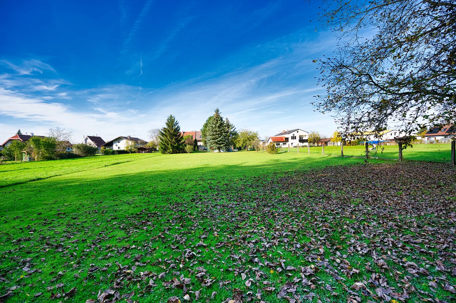 Blick vom Wald DSC_8952