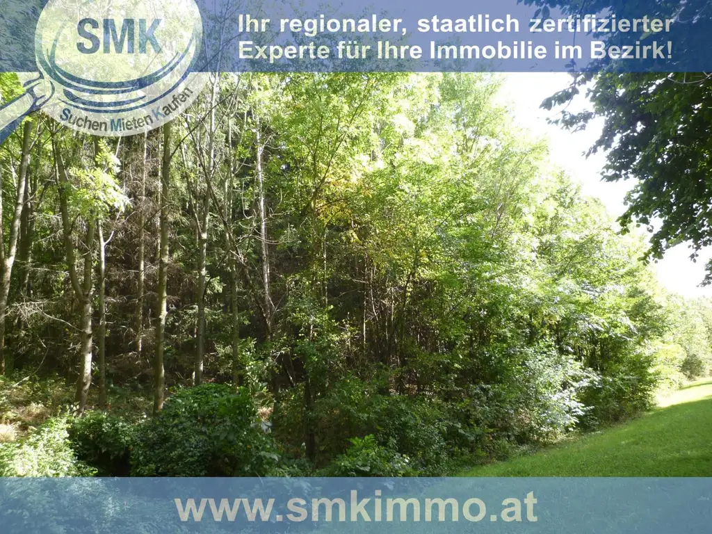 Waldgrundstück Nähe A5!