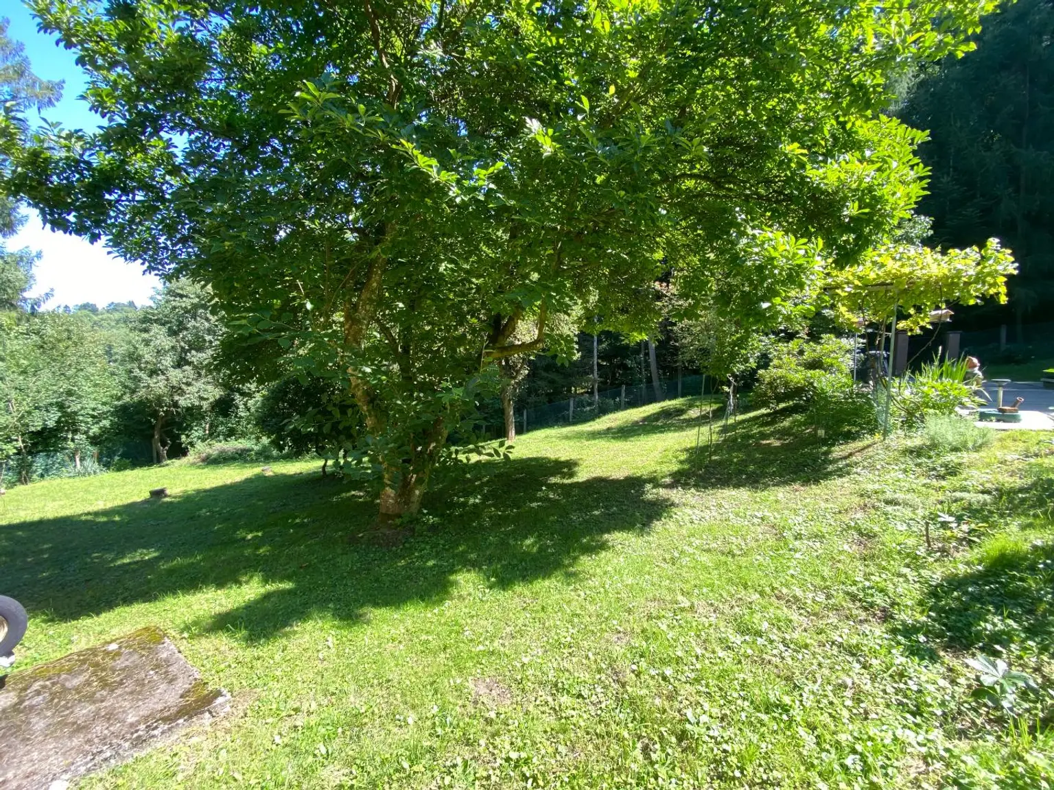 **OPEN HOUSE 5.9.2025** -  Einfamilienhaus mit Ausbau-Potenzial, >1.700 m² Grundstück