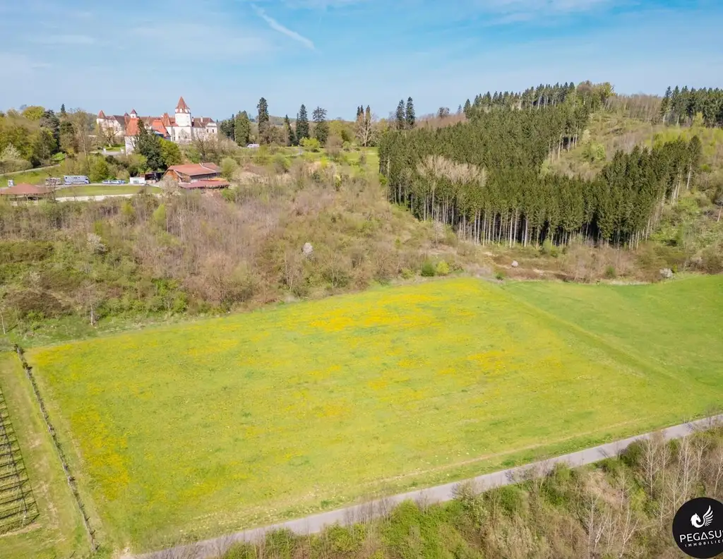 Nähe Feldbach - Grundstück mit Sonderwidmung Reitsport