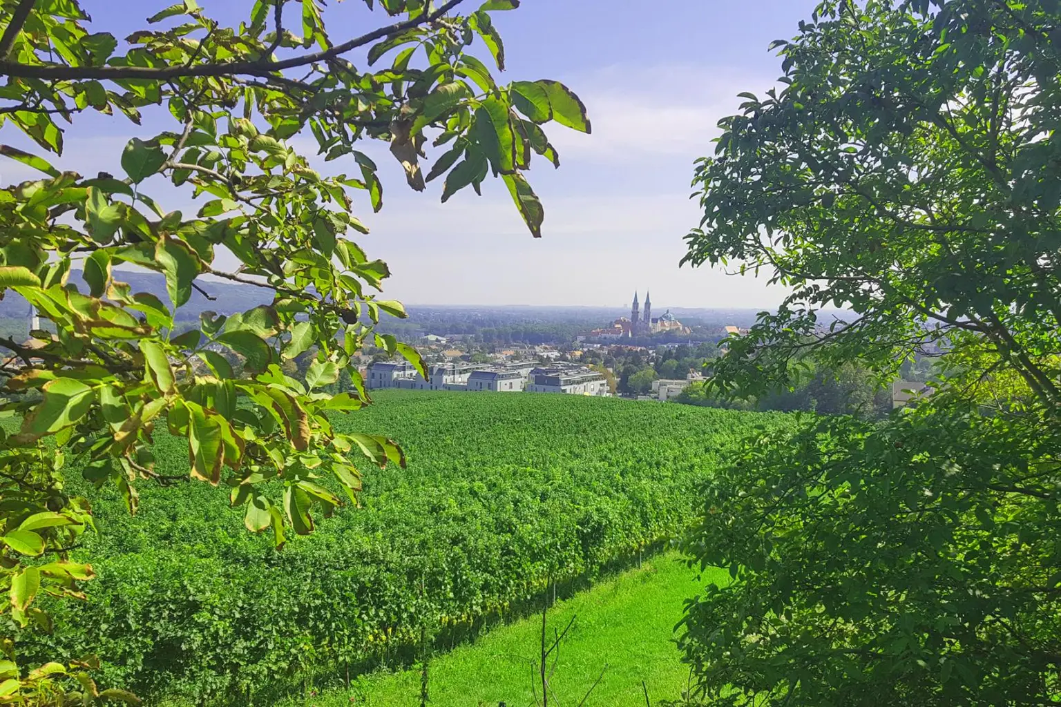 Wohnen am Ölberg