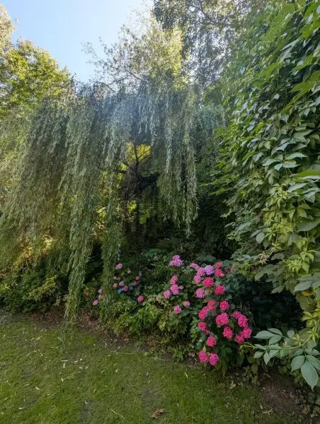 Wunderschöne Villa mit Pool und weitläufigem Grundstück, Nähe Pressbaum