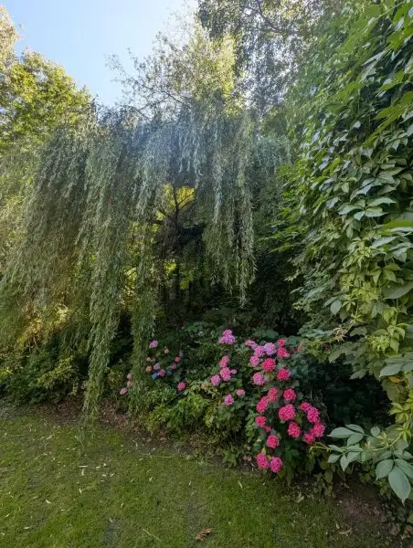 Wunderschöne Villa mit Pool und weitläufigem Grundstück, Nähe Pressbaum