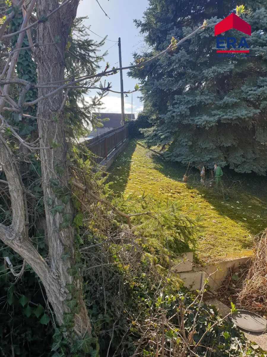 Kronberg KAUF - Einfamilienhaus in ruhiger Lage