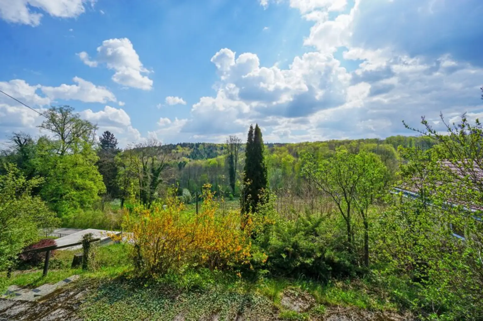 Wohnküche_Blick zur Terrasse und in den Garten