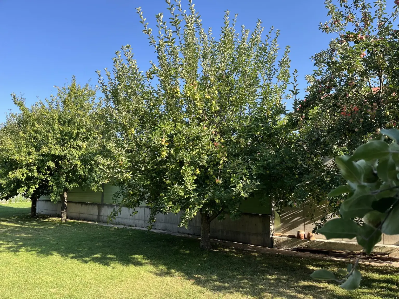 Sehr viel Platz im Haus und auch im traumhaften Garten