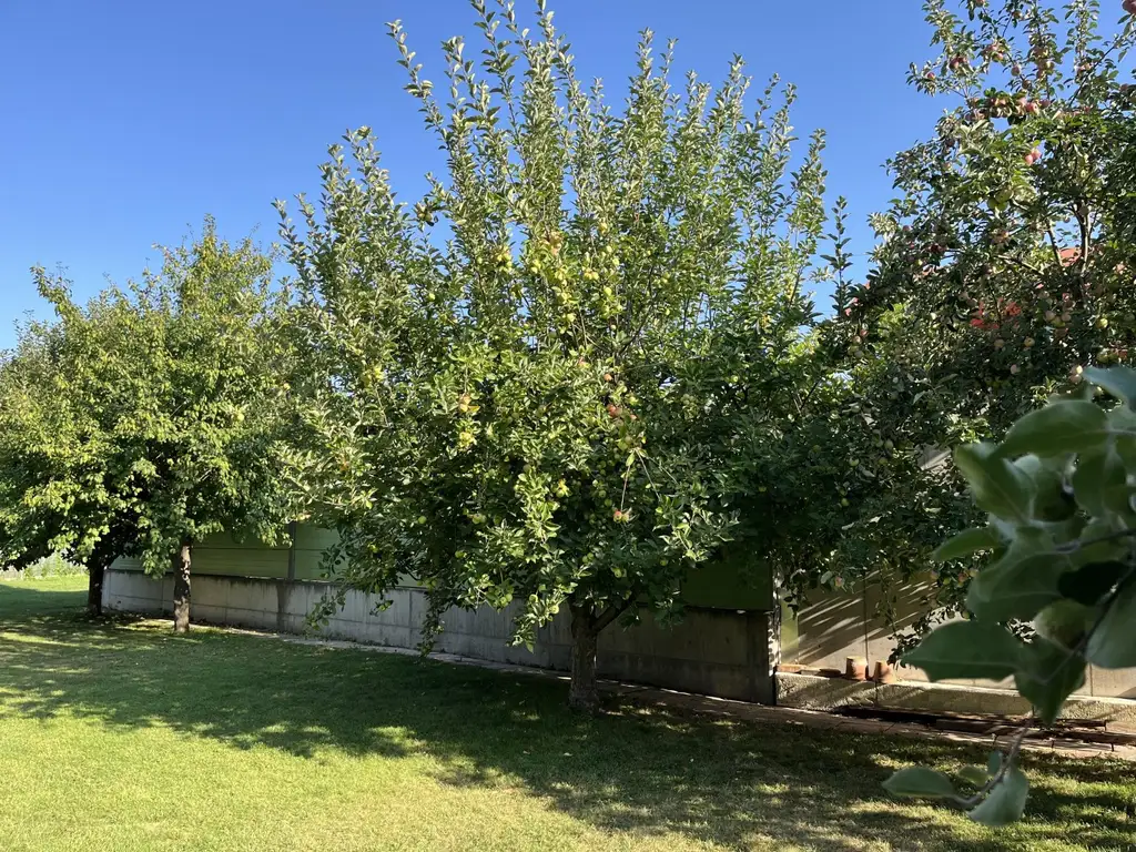 Sehr viel Platz im Haus und auch im traumhaften Garten