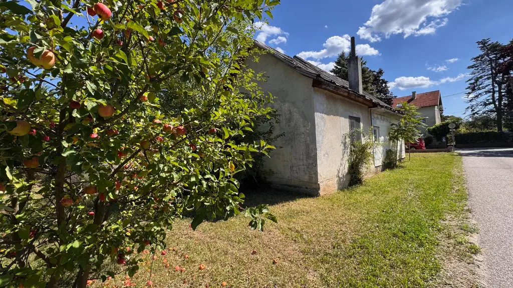 AUFGESCHLOSSEN! ANGESCHLOSSEN! GRUNDSTÜCK - Gänserndorf Süd