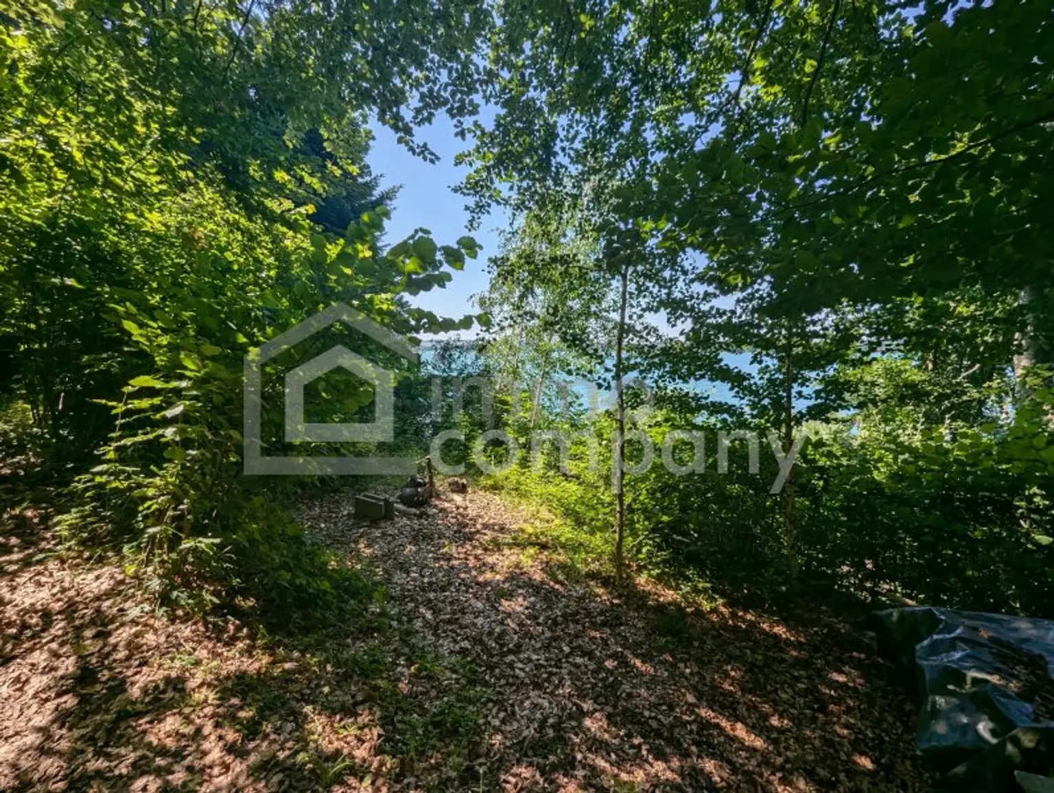 Traumhaftes Seegrundstück in Mattsee - 861m² pure Erholung in Salzburg!