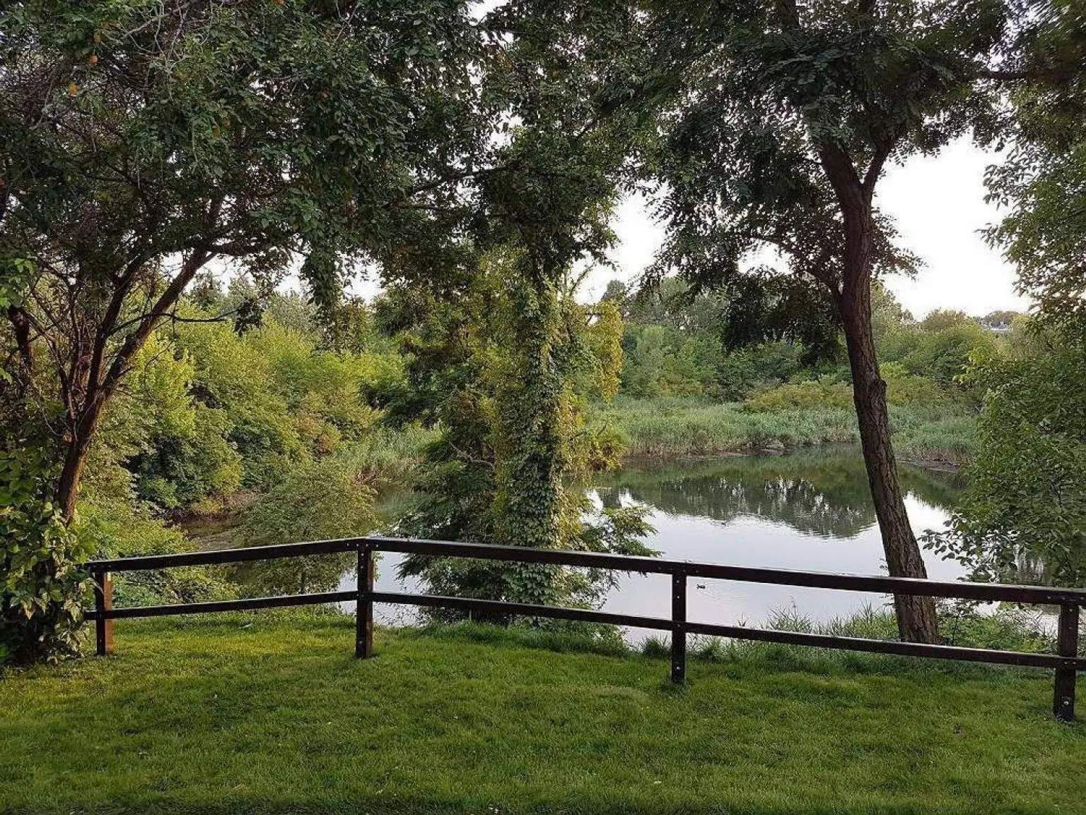 1. Eigentumswohnung 1100 Wien