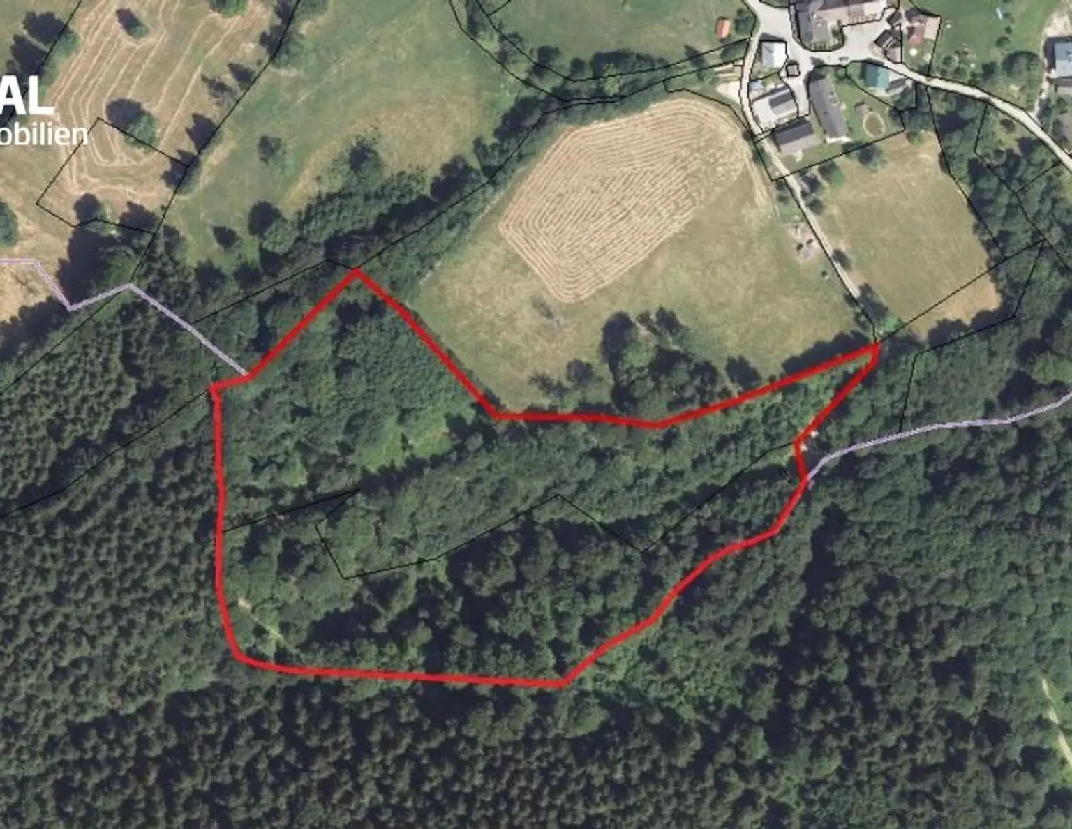 Mischwald zu verkaufen