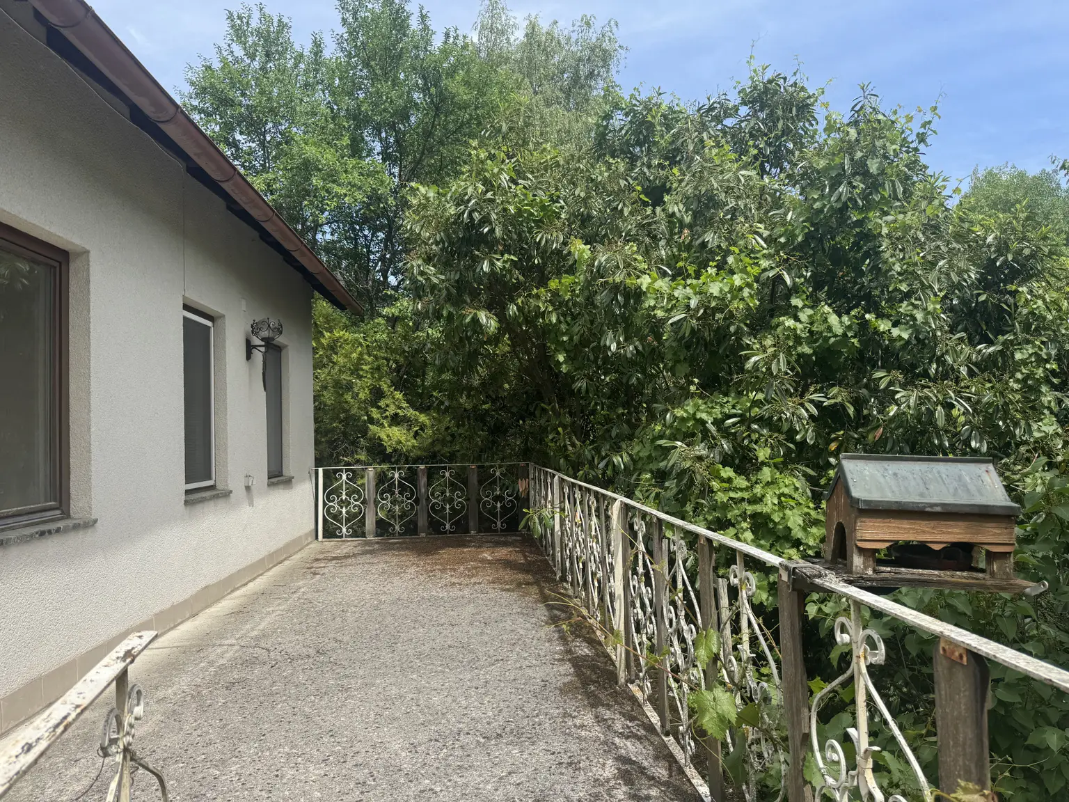 Terrasse mit Ausblick auf 3000 m² Grünland