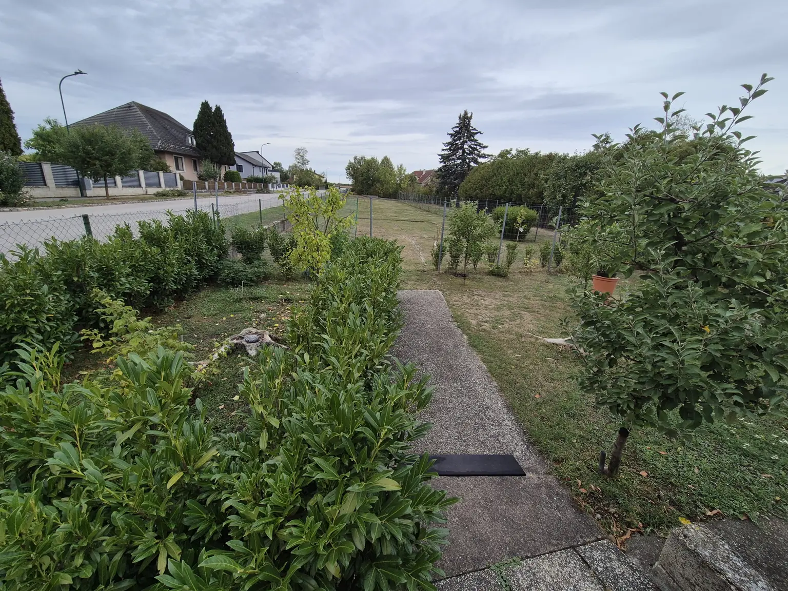 Garten1