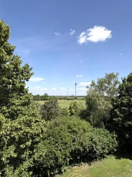 Ausblick