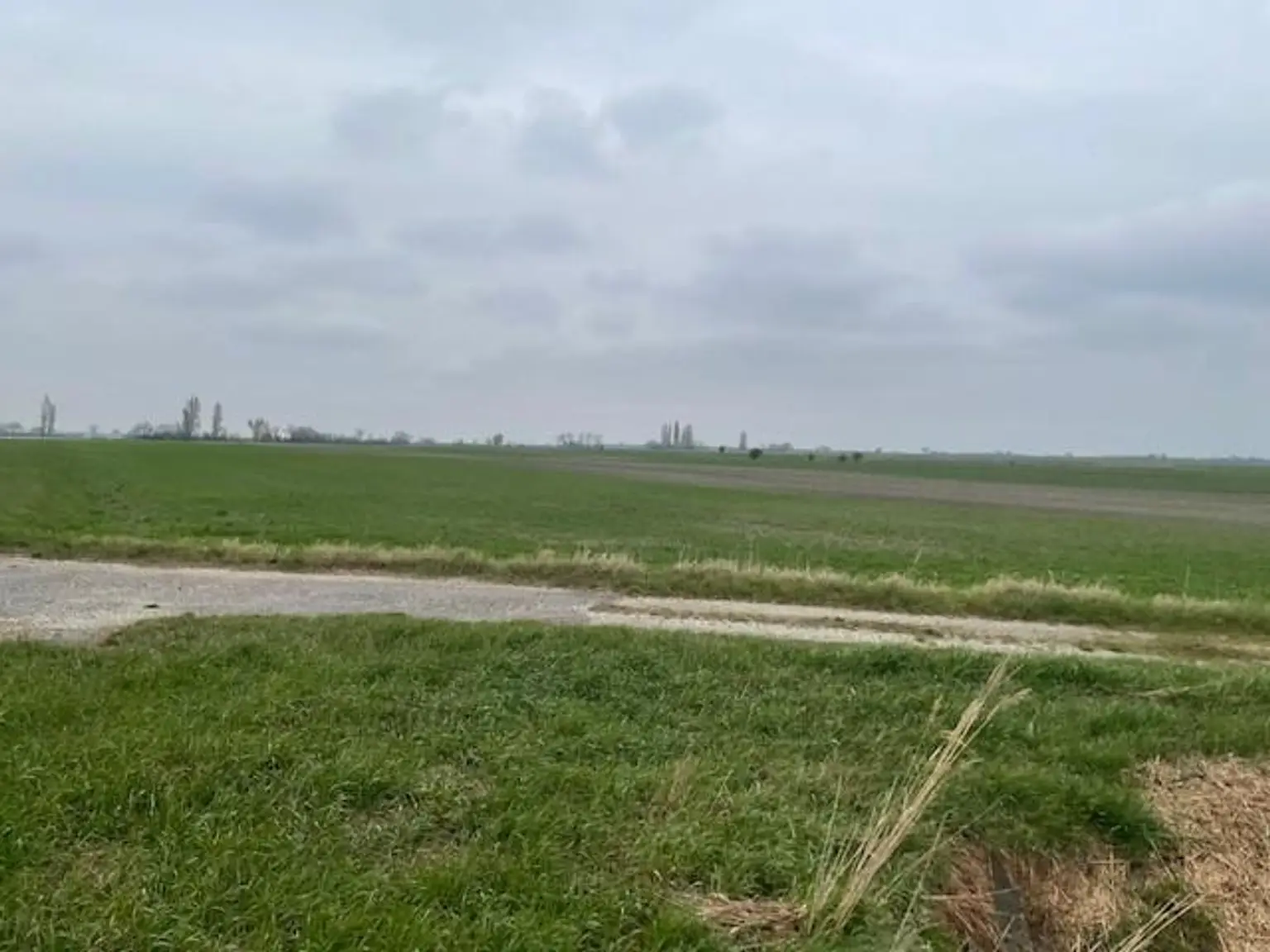 Landwirtschaftliches Grundstück Podersdorf