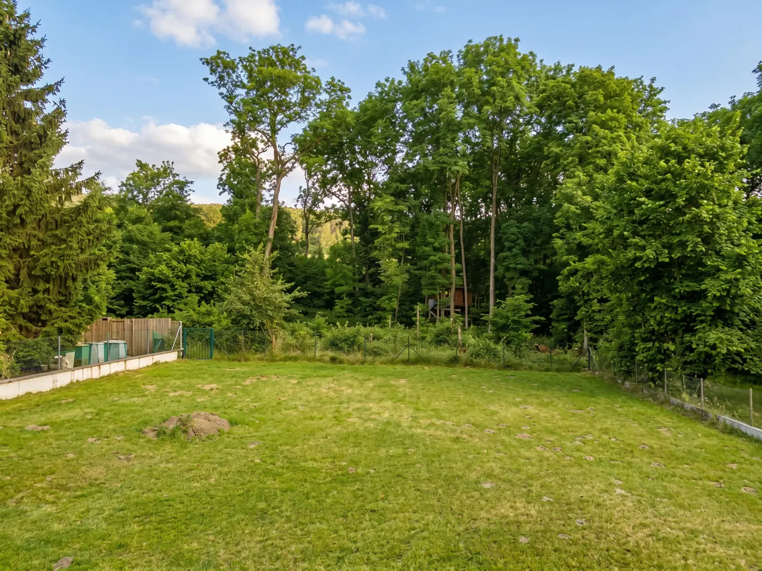 Ebene Gartenfläche (KI bearbeitet)