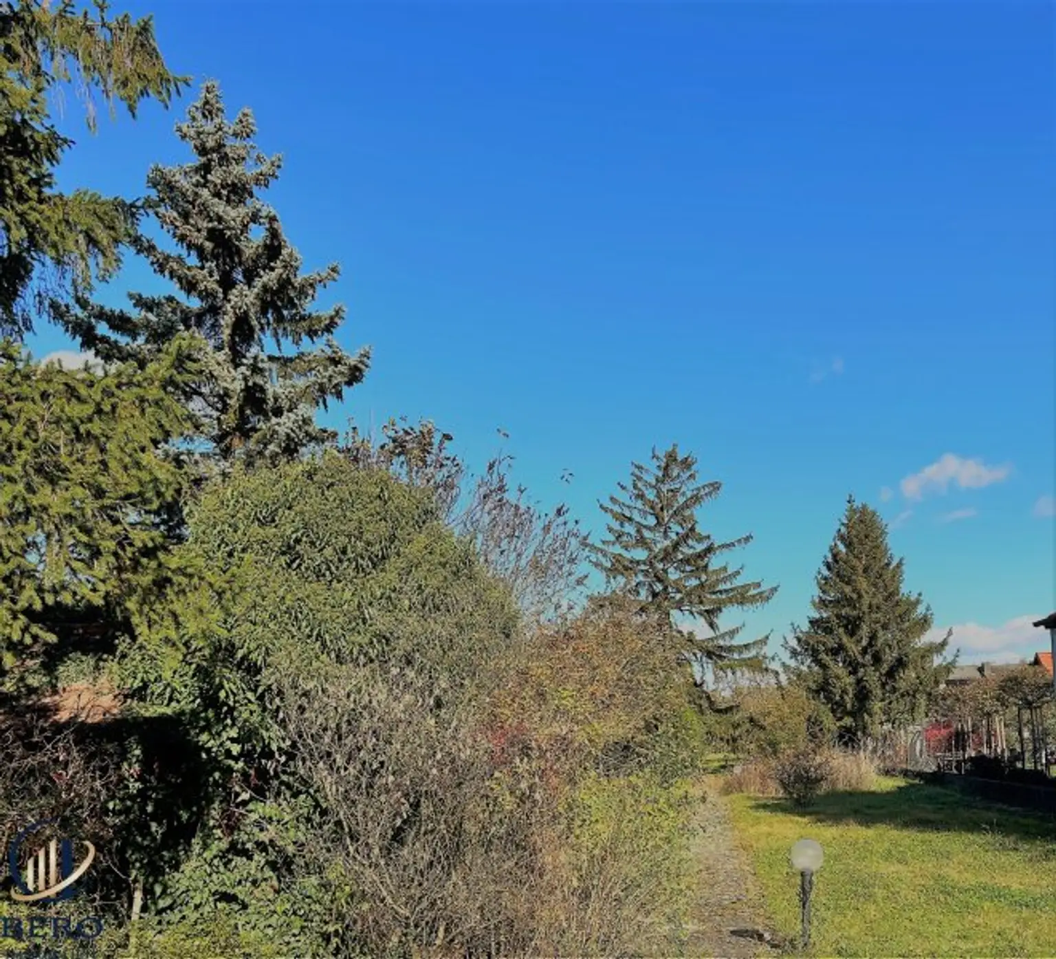 Traumhaftes großes Baugrundstück in Zwentendorf !