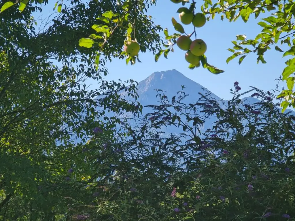 Einzigartiges Paradies für Mensch und Tier in herrlicher Aussichtslage
