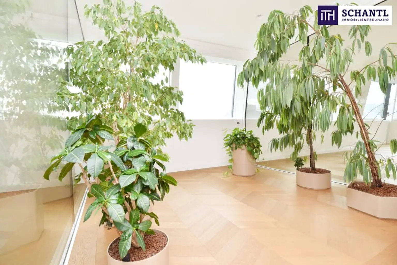 Palais der Superlative – 265m² Luxusresidenz im Herzen der Wiener Innenstadt