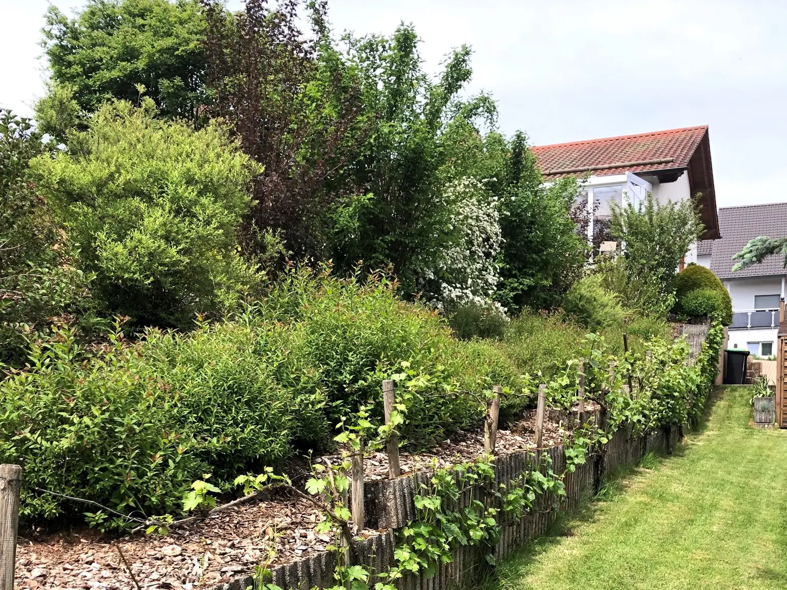Gartenimpressionen