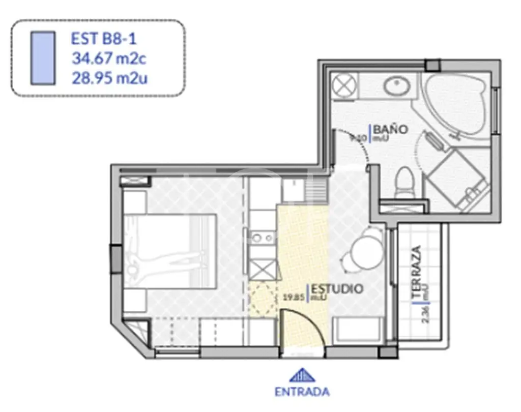 plano estudio